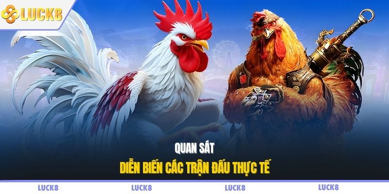 Quan sát diễn biến các trận đấu thực tế